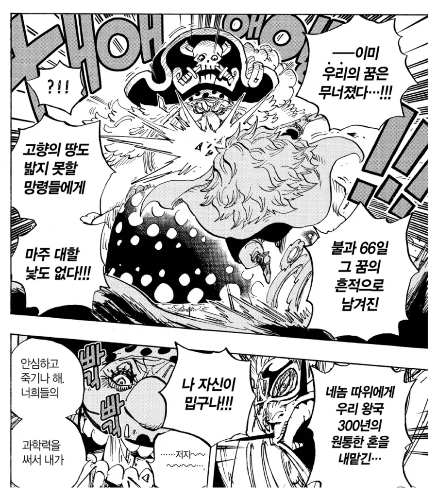 원피스 열심히 연구해봤자 의미 없는 이유_2.webp