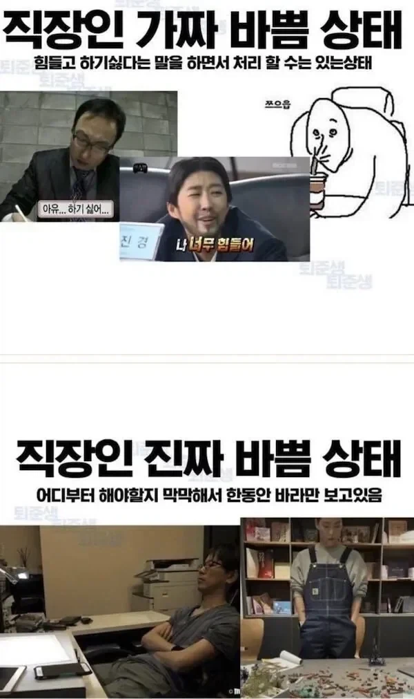 직장인 가짜 바쁨 VS 진짜 바쁨.jpg_1.webp