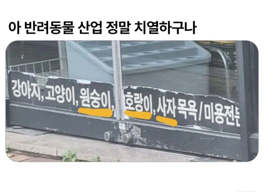 피튀기는 반려동물 산업_1.webp