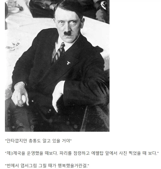 『총통은, 뭔가 행복하지 않았지?』_1.webp