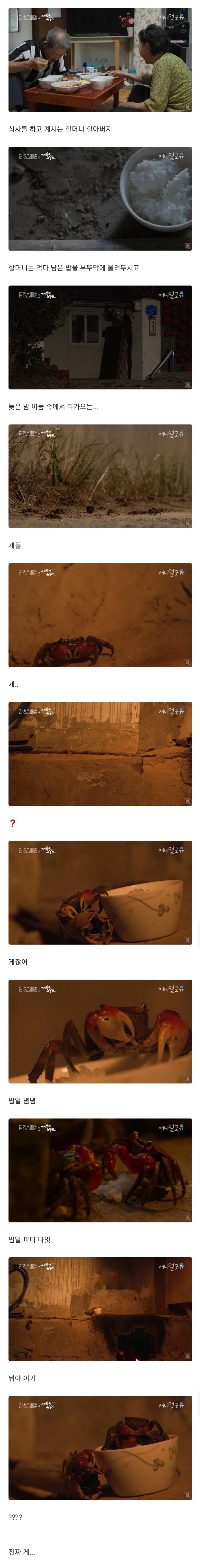 밤마다 밥 먹으러 오는 게_1.webp