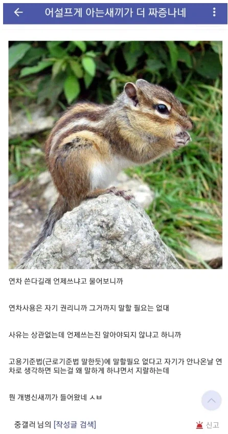 어설프게 아는 ㅅㄲ가 더 짜증남.jpg_1.webp