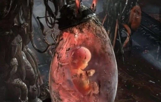 시험관 아기에 대한 오해_2.webp