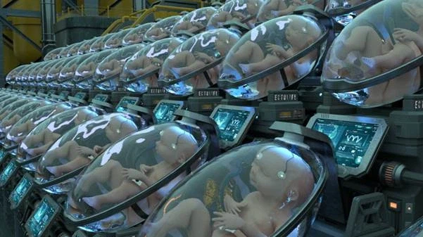 시험관 아기에 대한 오해_3.webp