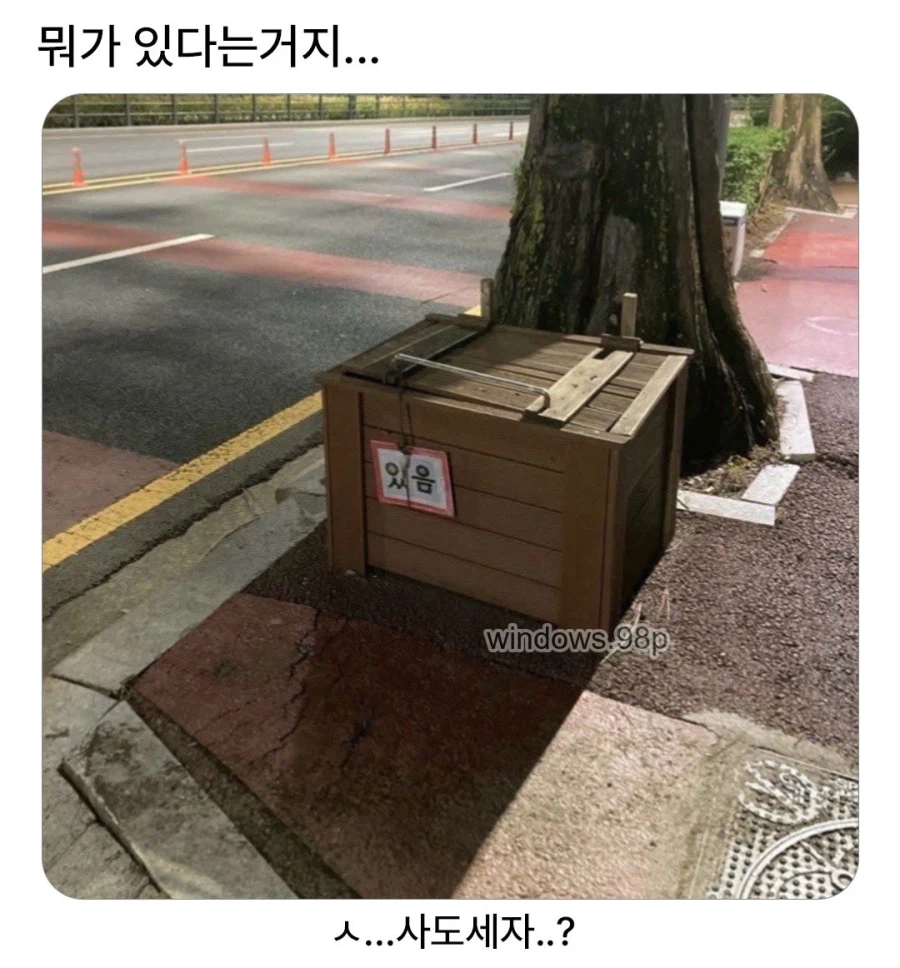 뭐가 있다는거지.jpg_1.webp