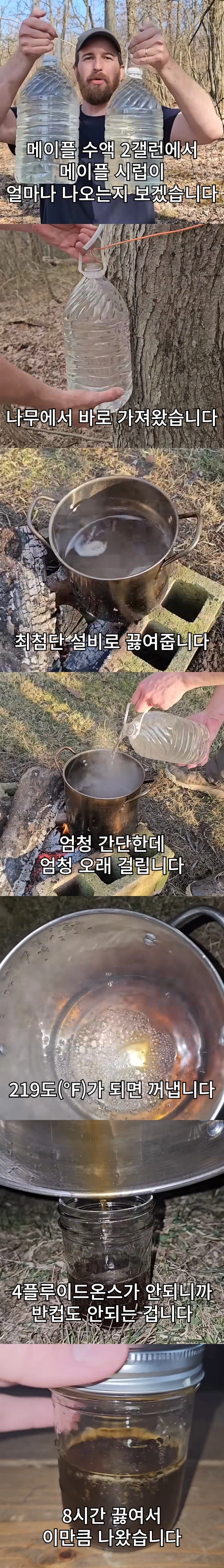 미국인이 알려주는 메이플시럽 수율_1.webp