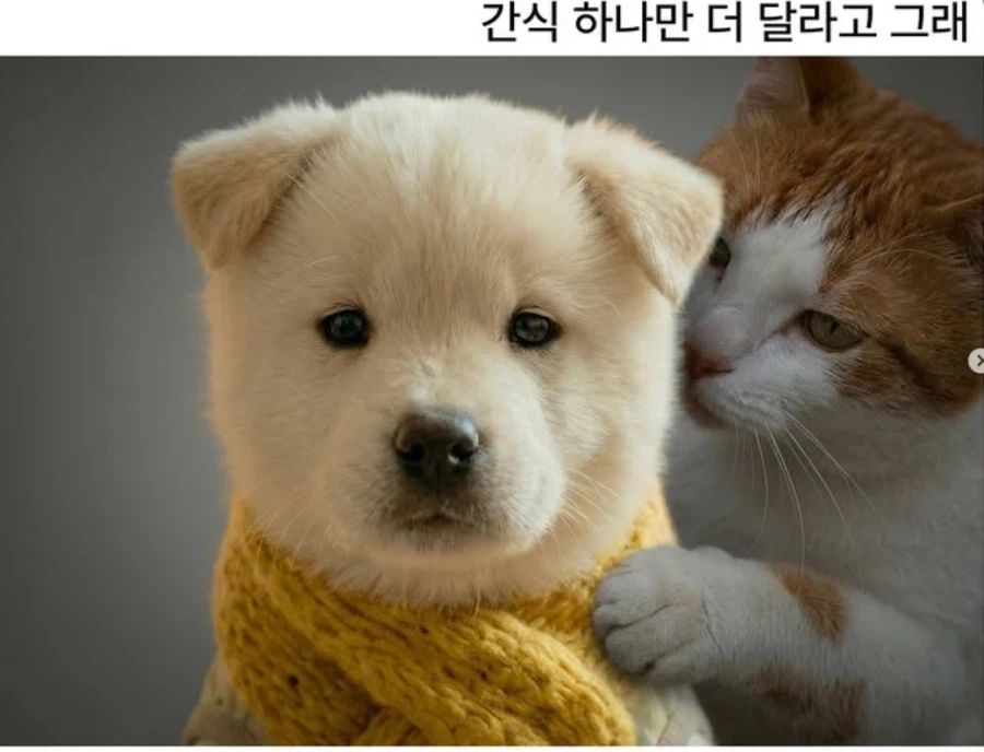 내성적인 애들 특징_1.webp