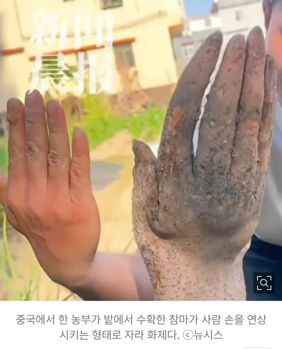 약혐)농부가 밭에서 발견한 부패한 사람 손_1.webp