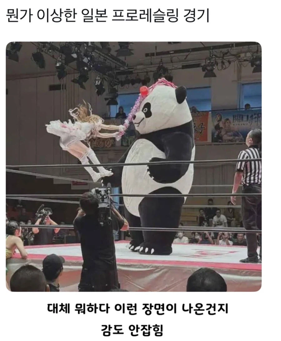뭔가 이상한 일본 프로레슬링_1.webp