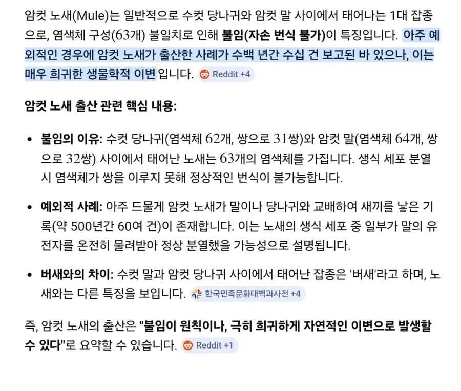 던전밥) 노새 임신 안 되겠는데..._1.webp