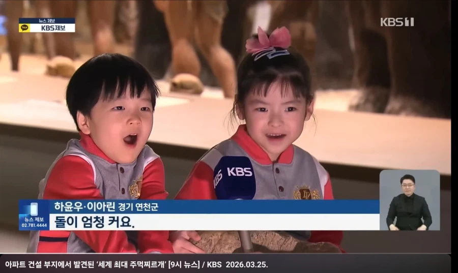 대형 주먹 찌르개 본 어린이 반응_2.webp