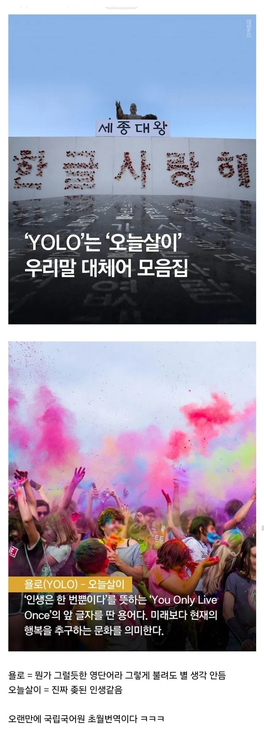 YOLO의 우리말 대체어.jpg_1.webp