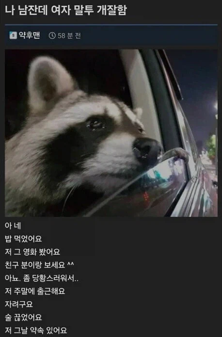 나 남잔데 여자 말투 개잘함_1.webp
