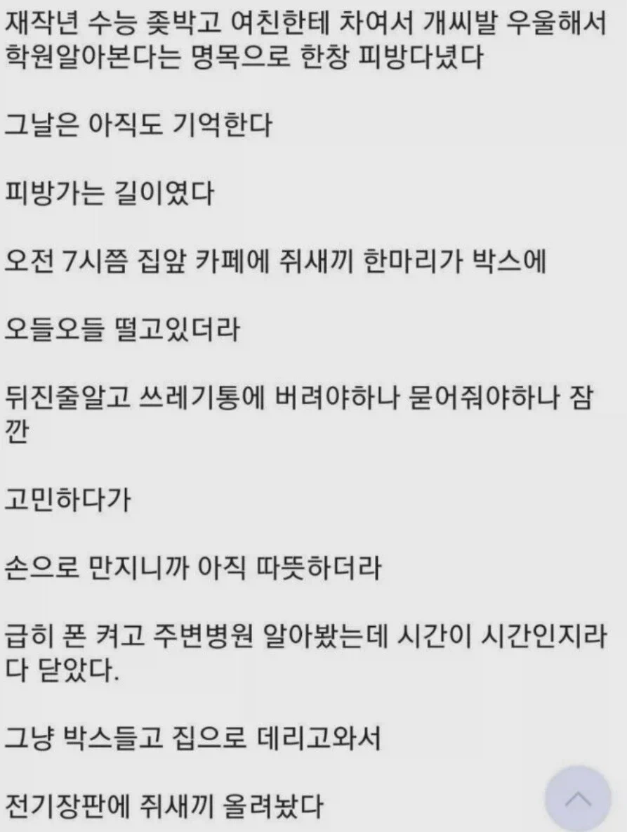 햄스터가 떠나가서 슬픈 사람_1.webp