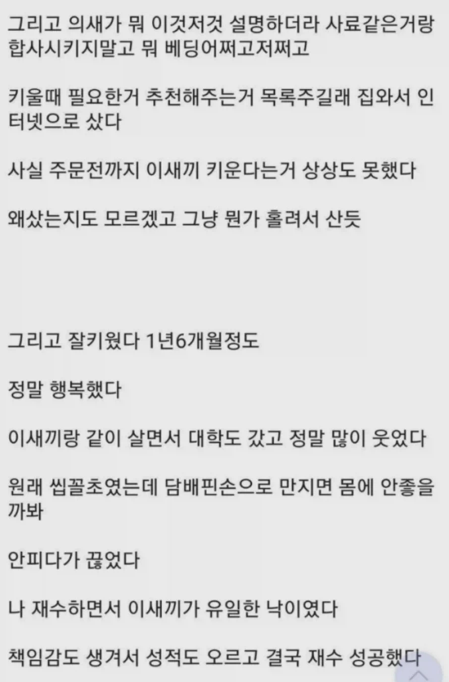 햄스터가 떠나가서 슬픈 사람_2.webp