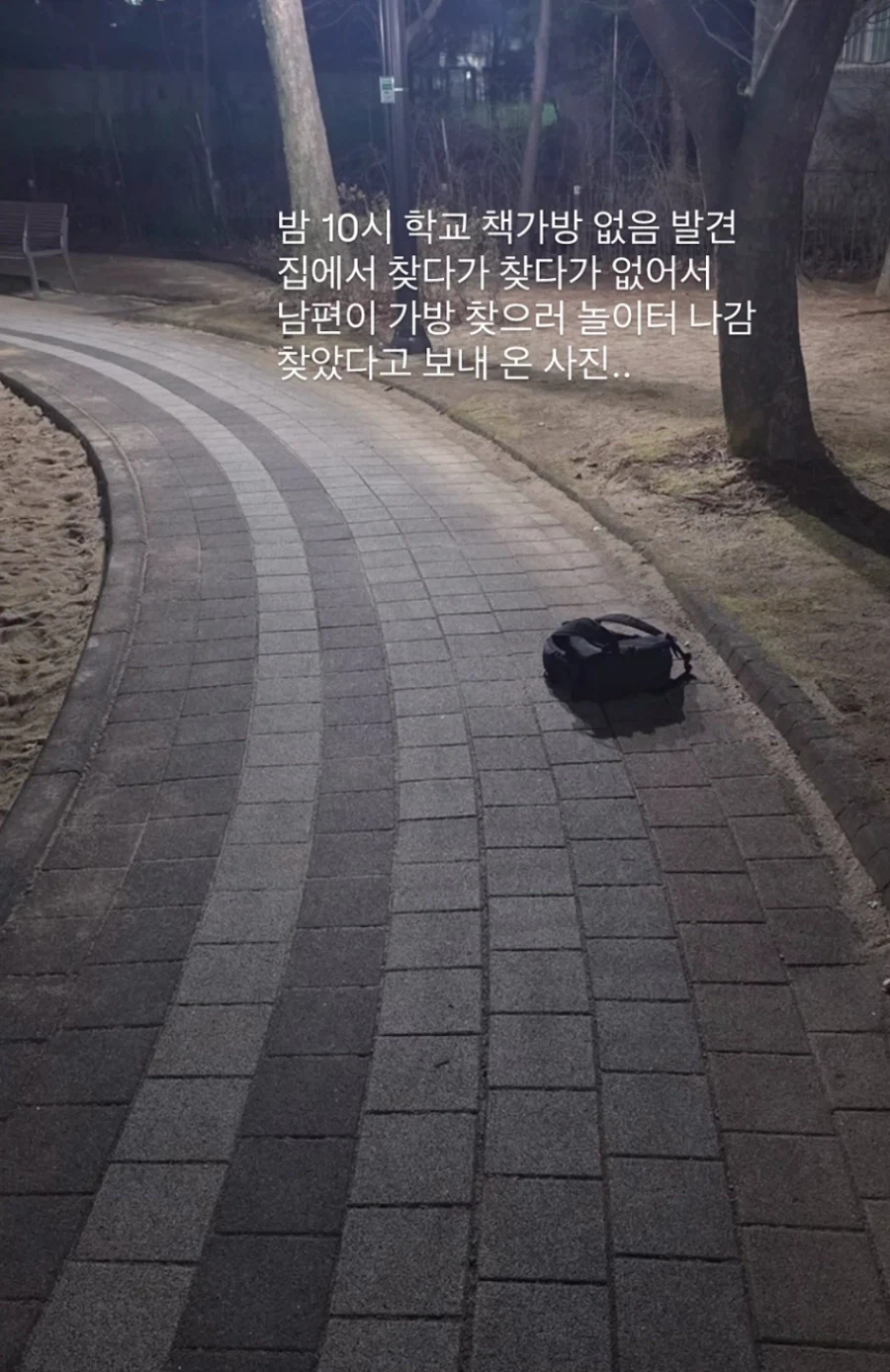 잼민이 아들들 특_1.webp