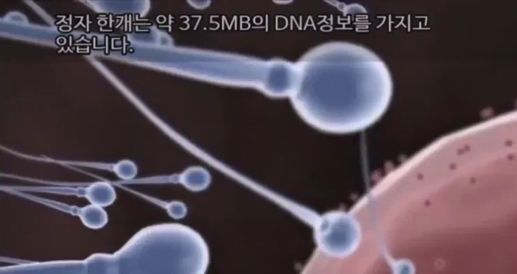 매일 16GB정도 낭비하는 중_1.webp