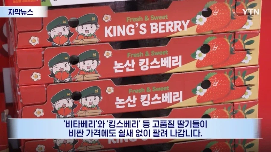인니에서 팝업했던 한국 딸기의 최후_2.webp
