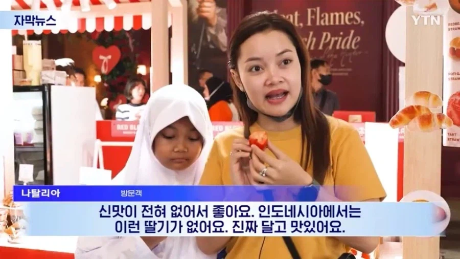 인니에서 팝업했던 한국 딸기의 최후_3.webp