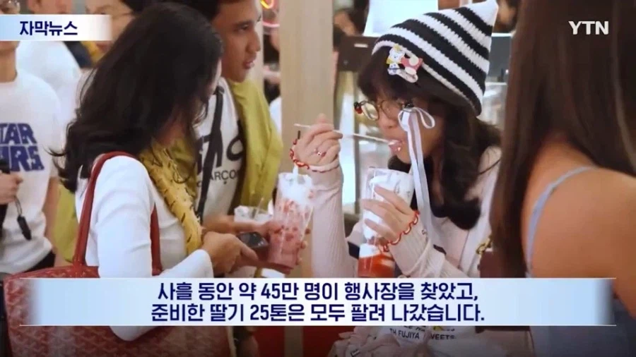 인니에서 팝업했던 한국 딸기의 최후_4.webp