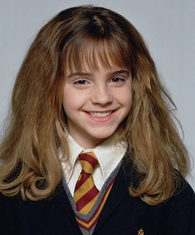 솔직히 원작 묘사대로면 이쪽이 더 허마이오니에 어울림_2.webp