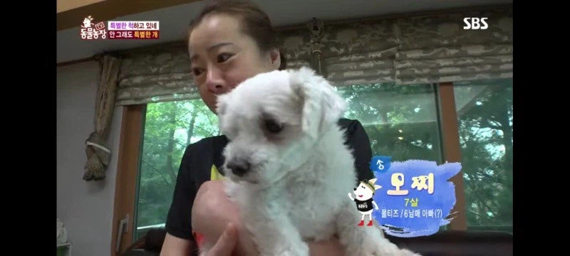 방송에는 차마 내보낼수 없었던 동물농장 에피소드 jpg._3.webp