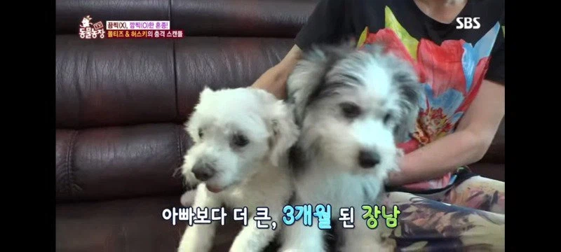 방송에는 차마 내보낼수 없었던 동물농장 에피소드 jpg._5.webp