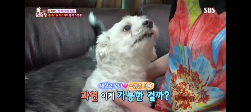 방송에는 차마 내보낼수 없었던 동물농장 에피소드 jpg._6.webp