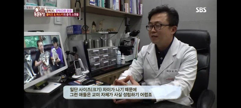 방송에는 차마 내보낼수 없었던 동물농장 에피소드 jpg._8.webp