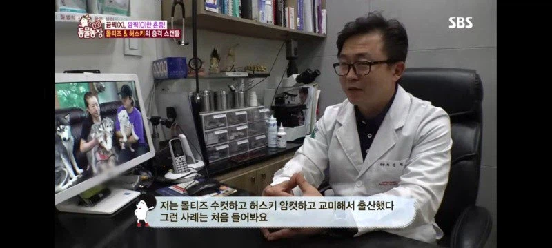 방송에는 차마 내보낼수 없었던 동물농장 에피소드 jpg._9.webp