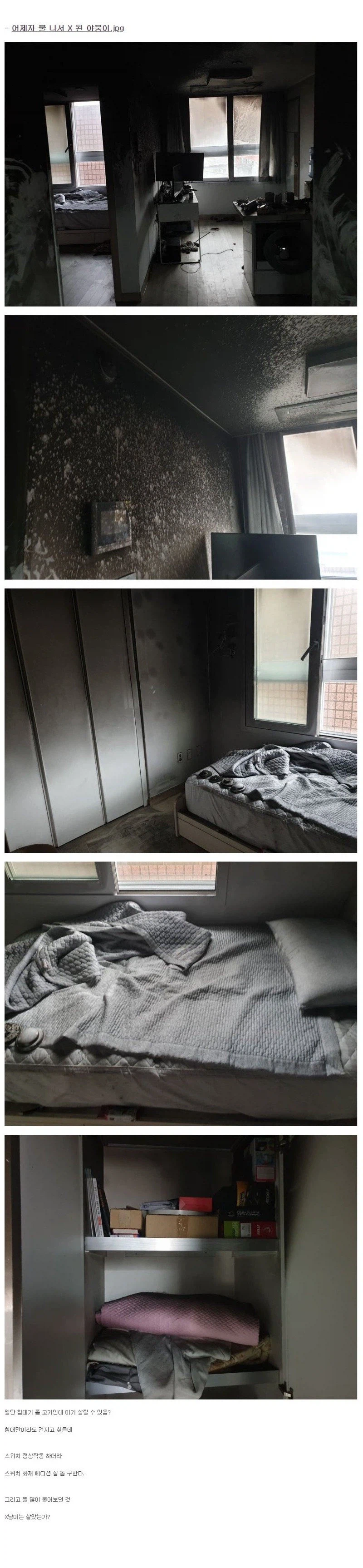 6년전 집에 불 낸 고양이 jpg._2.webp