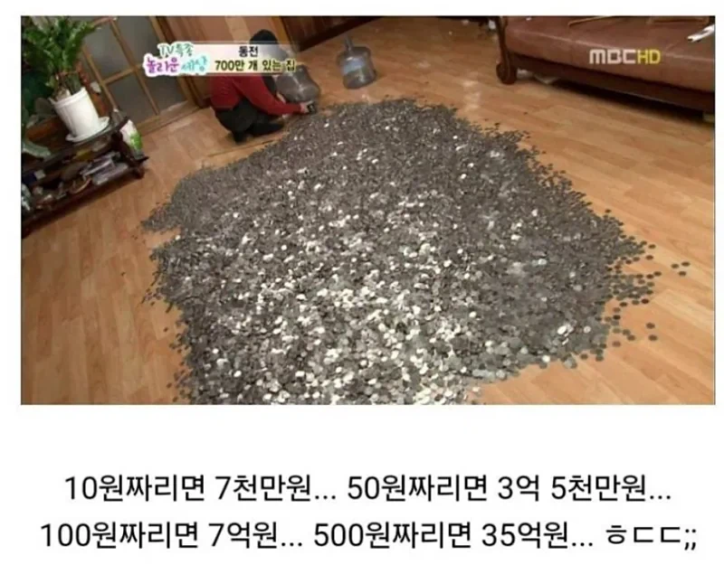 동전만 700만개를 보유하고 있는 집_1.webp