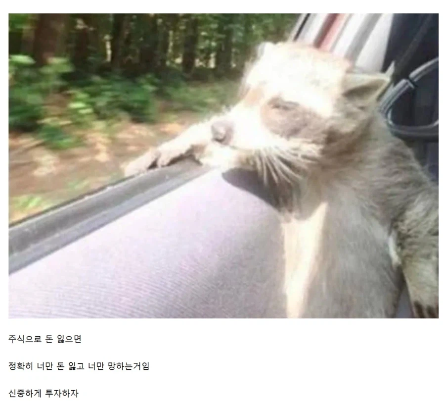 주식 처음 하는 사람들의 하락장 착각 정리.jpg_4.webp