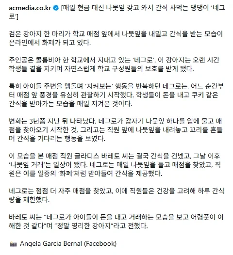 나뭇잎 물고와서 간식 사먹는 댕댕이..._6.webp