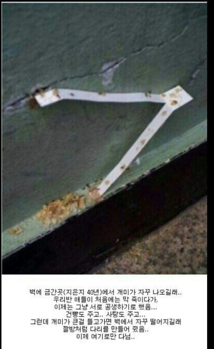 최악의 미래를 불러올 황당한 선의;;_1.webp