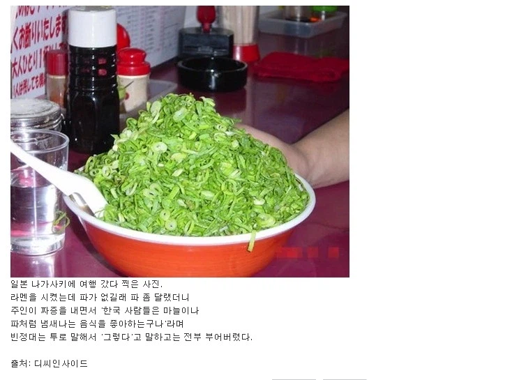 일본 라멘집에서 파 좀 달라고 한 디시인_1.webp