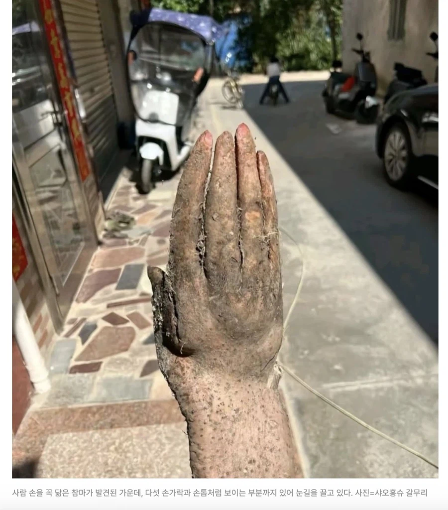 의외로 땅속에서 발견되는것_1.webp