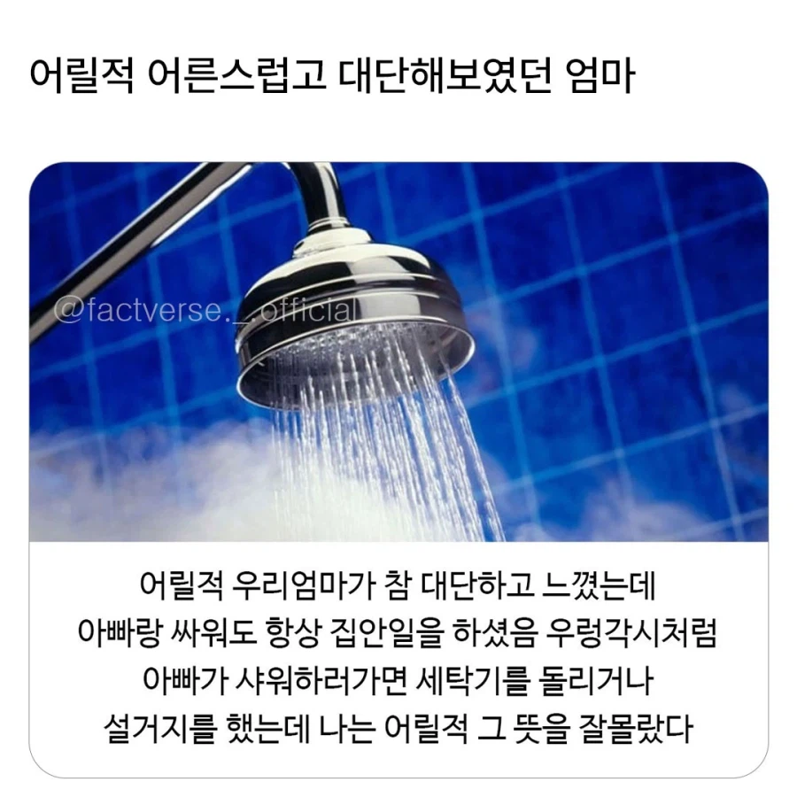 어릴적 어른스럽고 대단해보였던 엄마.jpg_1.webp