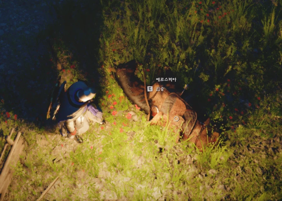 붉은사막)말이 왜 이래._1.webp