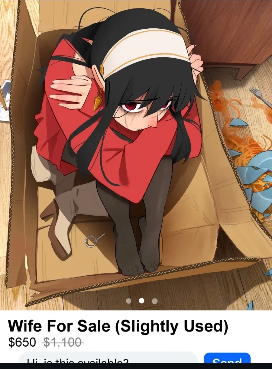 팝니다:아내, 사용한 적 있음._1.webp