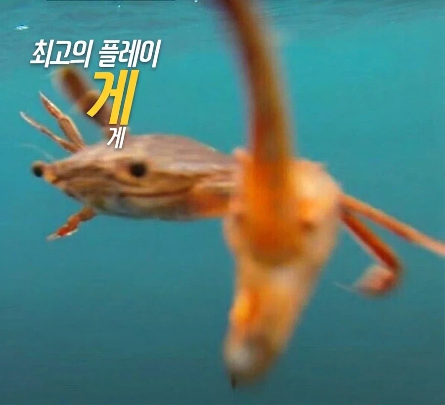 체인소맨이 자1살하기 버튼을 누른 현시점 승리자_1.webp