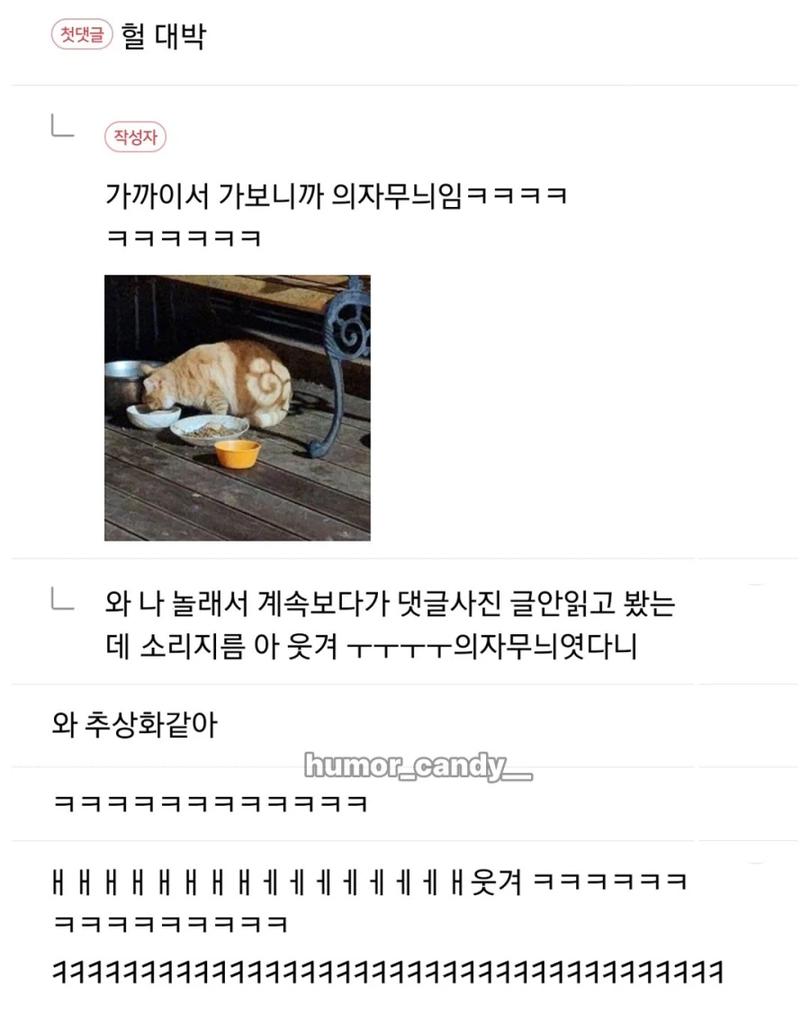 무늬가 특이한 펜션 고양이.jpg_3.webp