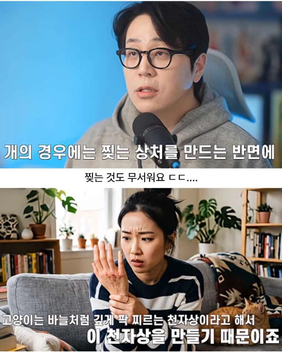 고양이에게 물리면 꼭 병원 가야 함.jpg_3.webp