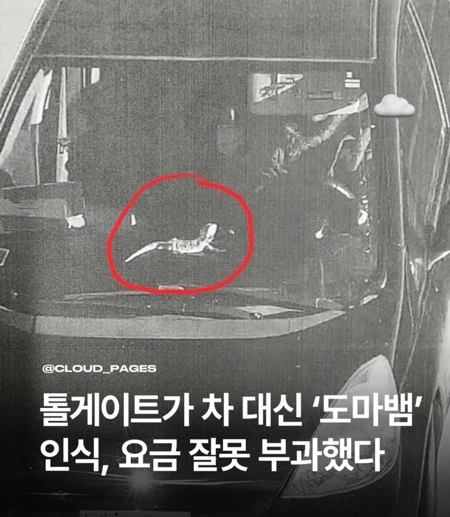 톨게이트가 잘못된 과태료로 인식한 이유_1.webp