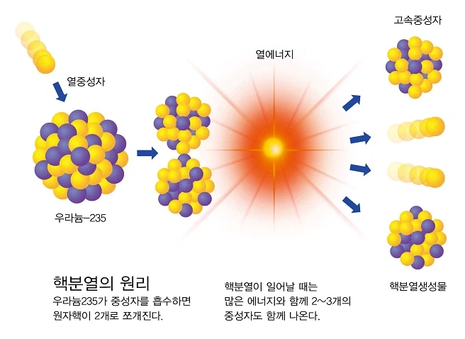 원자력 에너지의 근원_2.webp