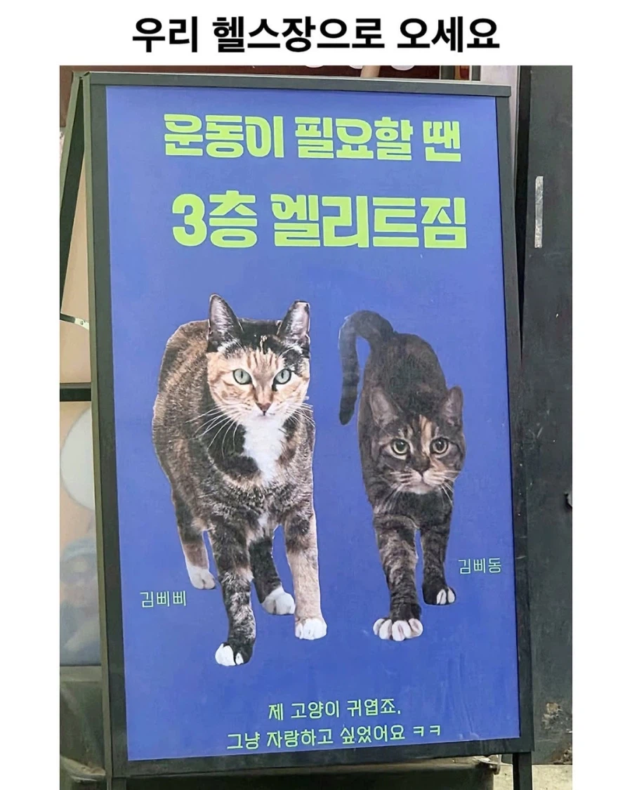 어느 헬스장 광고..._1.webp