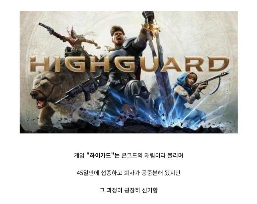 하이가드가 45일만에 섭종한 이유_1.webp