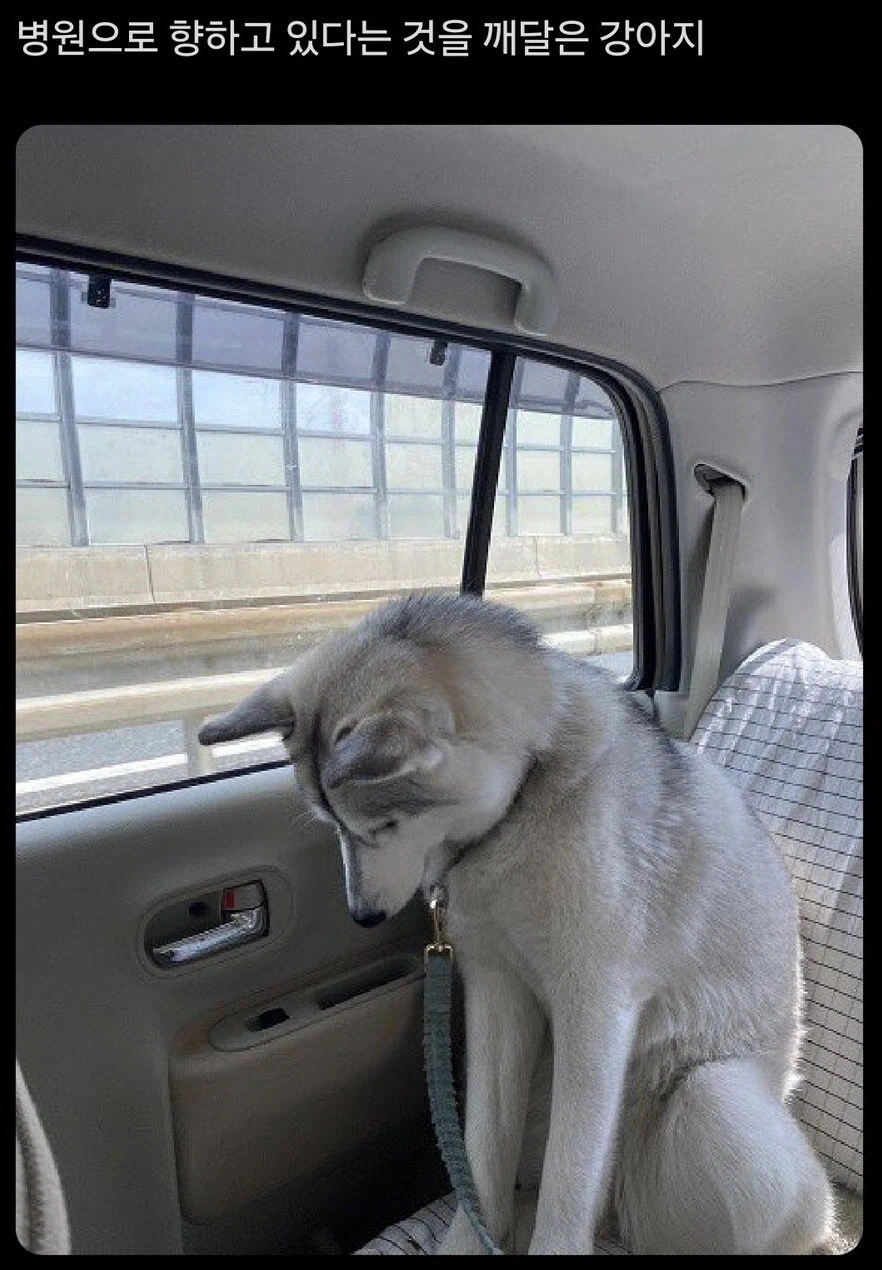 눈치가 빠르구나_1.webp