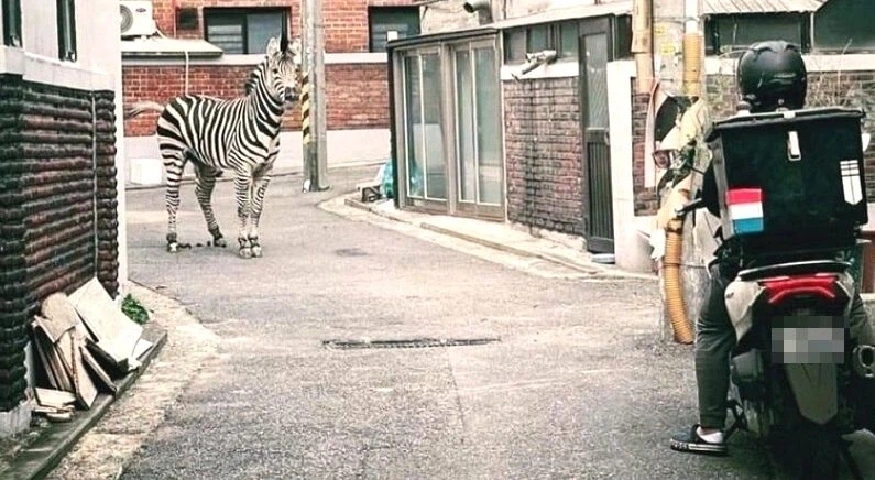 의외로 ai가 아닌 사진_1.webp