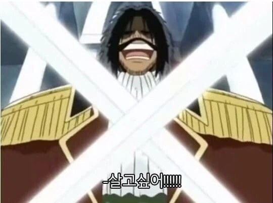 해적왕!! 본심을 말해!!_3.webp